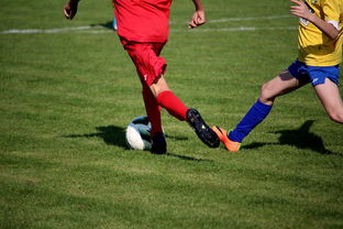 华体会官网介绍-“拳王争霸：四川省体育馆拳击赛将诞生新的世界拳王”